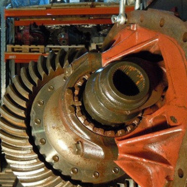 565869098_w800_h640_r151_daf_1347_3_07_20 565869098_w800_h640_r151_daf_1347_3_07_20
